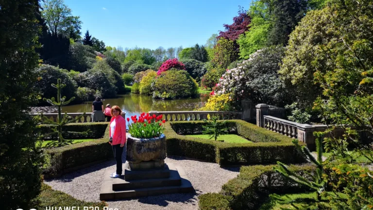 Stone planter with red tulips in the geometric garden at Biddulph Grange Garden