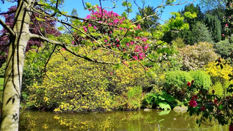 Spring flower arrangement by the pond at Biddulph Grange Garden