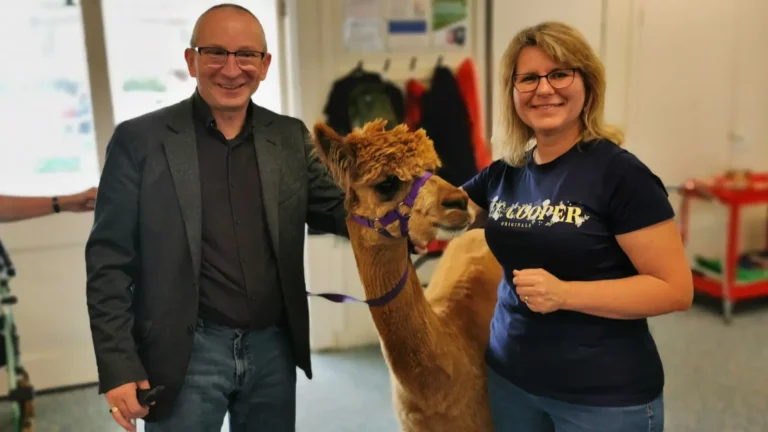 Two adults standing with a brown alpaca wearing a purple halter in an indoor community space.