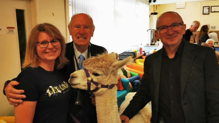 Three adults smiling while standing with a white alpaca wearing a purple halter in an indoor community space.