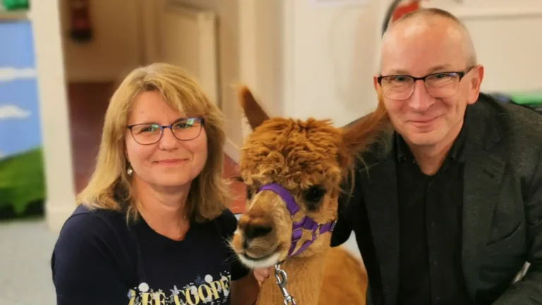 A brown alpaca wearing a purple halter standing between two smiling adults in an indoor community setting.