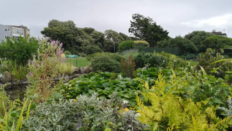 A lush section of Prince Consort Gardens with varied greenery, flowering plants and a small pond bordered by rocks.