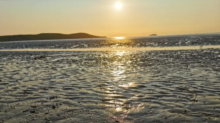 A golden sunset over the wet, rippled sands at Weston‑super‑Mare, with distant hills silhouetted on the horizon.