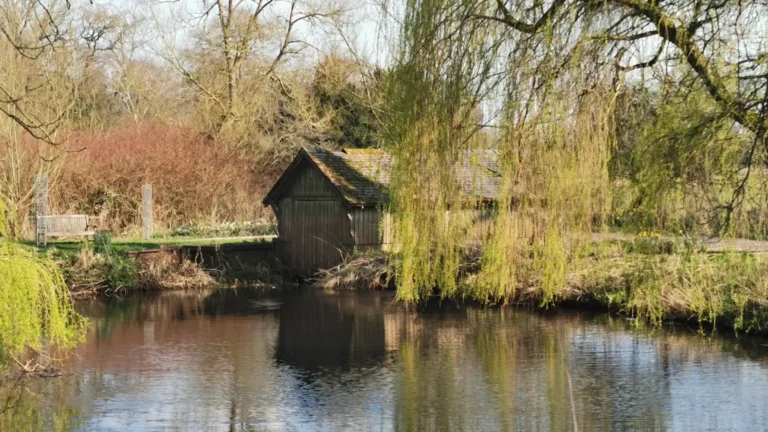 The Boathouse beside the water at Shugborough Estate, framed by willow branches.